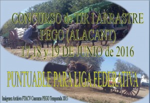 Anuncio Tiro PEGO Junio 2016