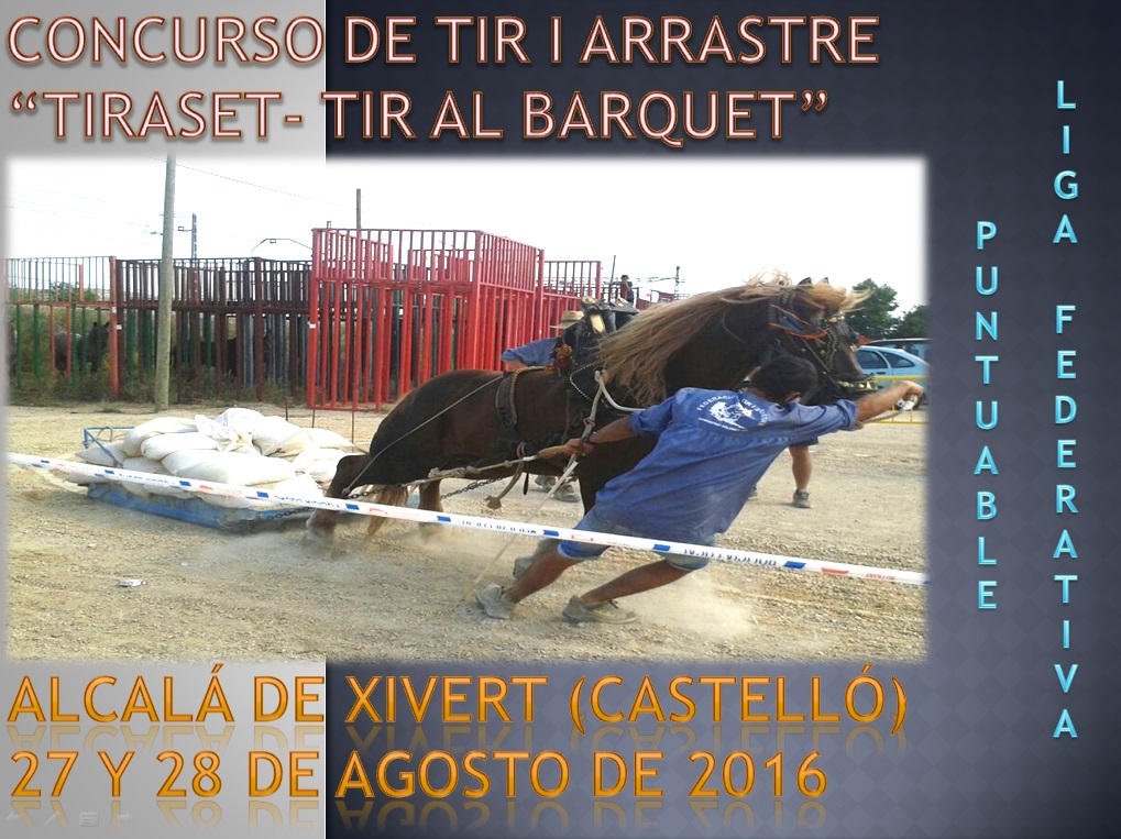 Anuncio Tiro Alcalá de Xivert Agosto 2016
